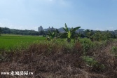售南投縣草屯鎮雙叉港農舍農地1,580萬