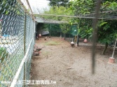 新北市石門區溪邊農莊農地 新北市石門區溪邊農莊農地